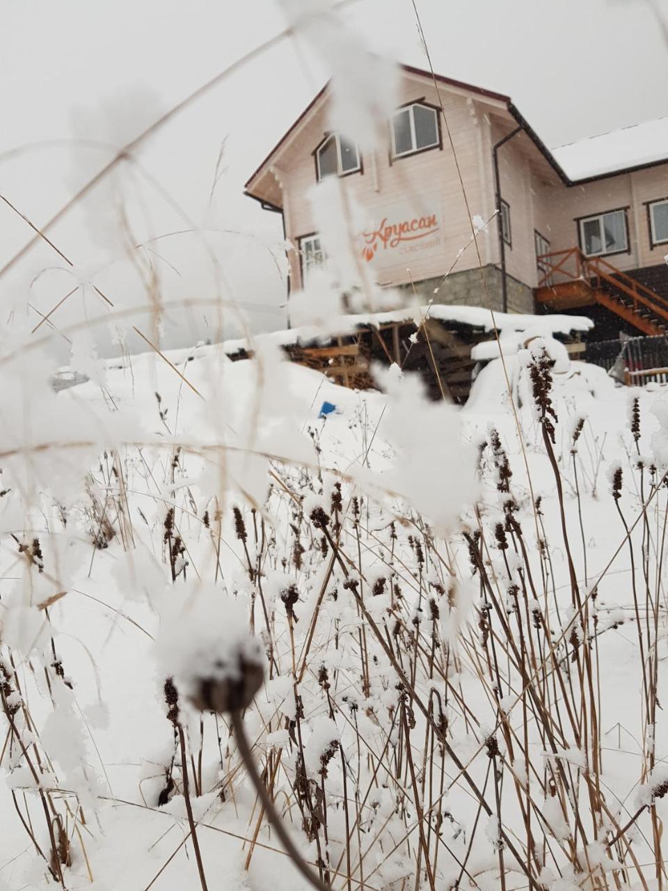 Гостьовий Дім Круасан Сімейний Bukovel Exteriör bild